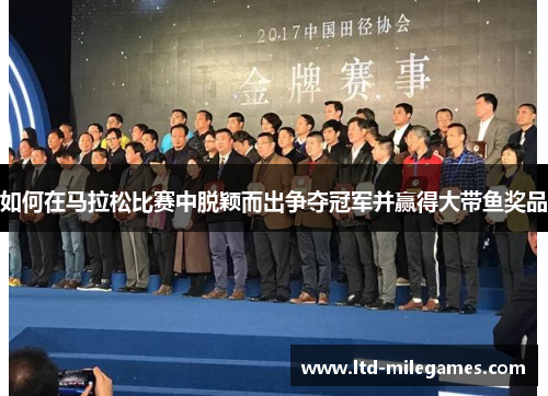 如何在马拉松比赛中脱颖而出争夺冠军并赢得大带鱼奖品