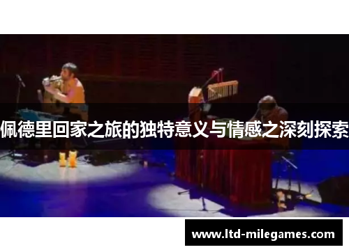 佩德里回家之旅的独特意义与情感之深刻探索