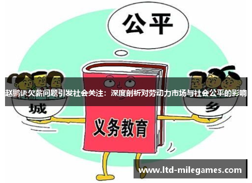 赵鹏谈欠薪问题引发社会关注：深度剖析对劳动力市场与社会公平的影响