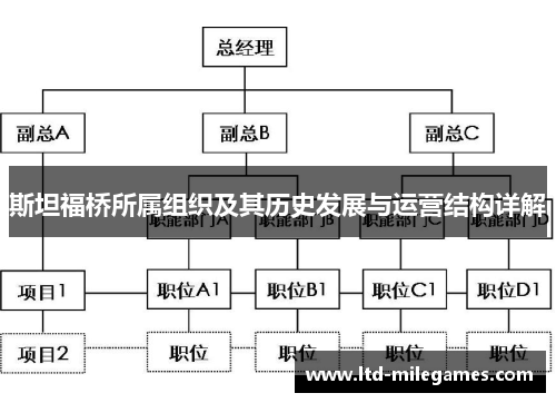 斯坦福桥所属组织及其历史发展与运营结构详解