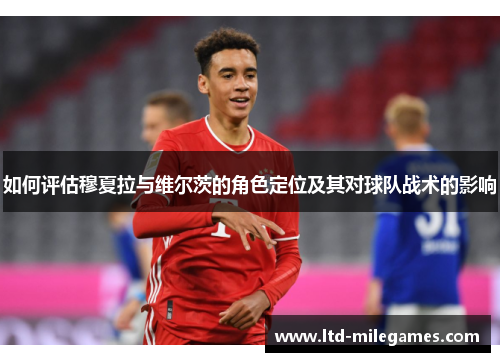 如何评估穆夏拉与维尔茨的角色定位及其对球队战术的影响